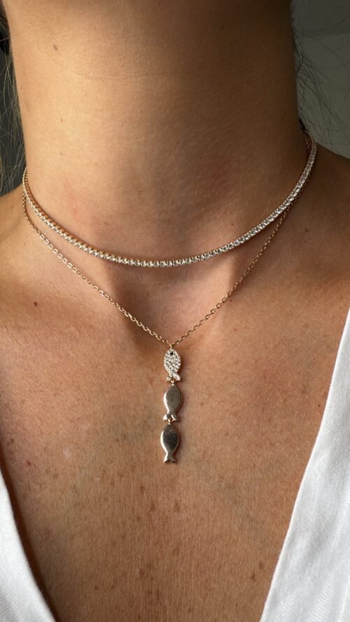 Alternative view of שרשרת דגים