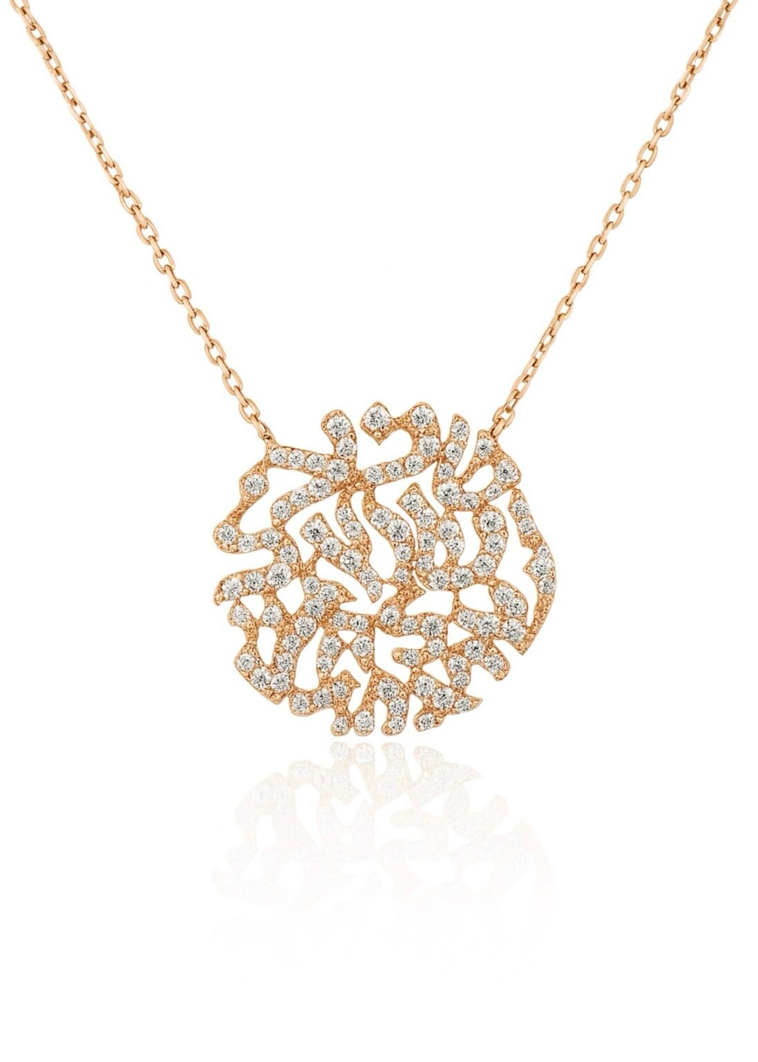 מוצרים חדשים