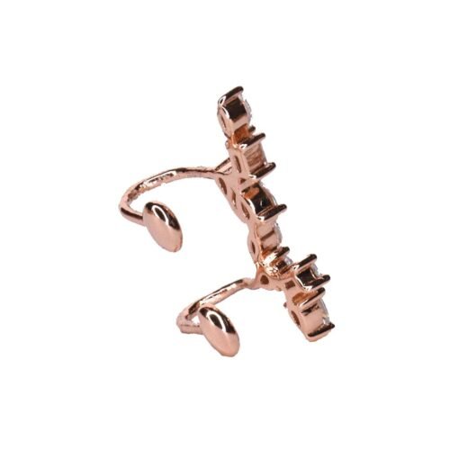 Alternative view of עגיל בודד הליקס מטפס